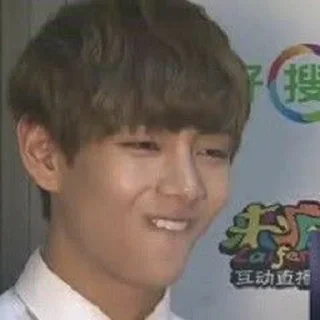 😘 emoji Taehyung meme @VANTEKING'S Telegram sticker 18 of 41