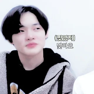 🐬 emoji 𝗖𝗛𝗘𝗡𝗟𝗘. @neoculturesticker Telegram sticker 19 of 50