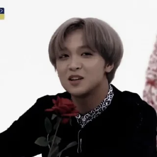 🛷 emoji 〃haechan — @secrethour ಌ Telegram sticker 18 of 50
