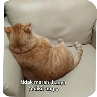 Sticker from RORRRR~~