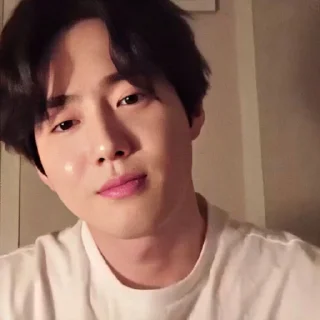 🕸 emoji @ALDBRN008 suho Telegram sticker 20 of 38