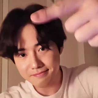 🕸 emoji @ALDBRN008 suho Telegram sticker 22 of 38