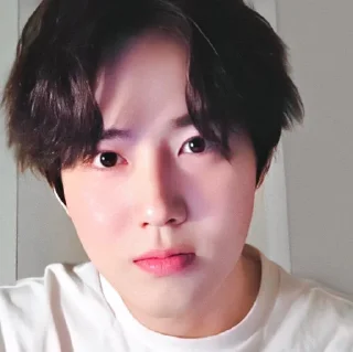 🕸 emoji @ALDBRN008 suho Telegram sticker 16 of 38