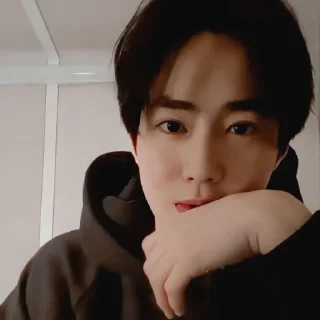 🕷 emoji @ALDBRN008 suho Telegram sticker 7 of 38