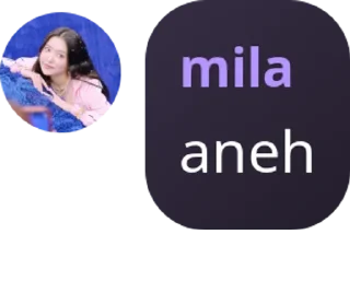 Sticker from mila nieh bang