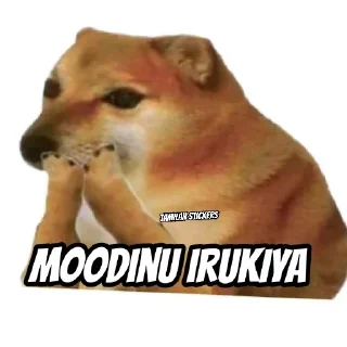 🤫 emoji Cheems Telegram sticker 23 of 29