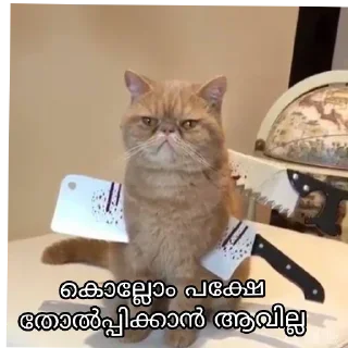 😑 emoji @MoviePlanet107 sᴛɪᴄᴋᴇʀs Telegram sticker 13 of 44