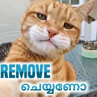 😠 emoji @MoviePlanet107 sᴛɪᴄᴋᴇʀs Telegram sticker 16 of 44