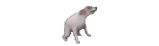 🕺 emoji @error404_t Telegram sticker 6 of 25