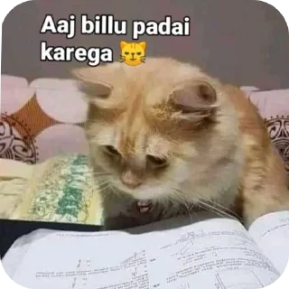 🐱 emoji Love 8 @Sumit_Official_01 Telegram sticker 24 of 120