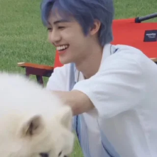 Sticker from 𖥻 jaemin : @songvyuqic ⭑