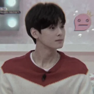🦅 emoji ㅤ★ ، eunwoo @DIARYMONCHYZ Telegram sticker 16 of 49