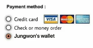 💳 emoji Bighit Artist's Wallet Telegram sticker 14 of 20