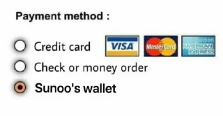 💳 emoji Bighit Artist's Wallet Telegram sticker 19 of 20