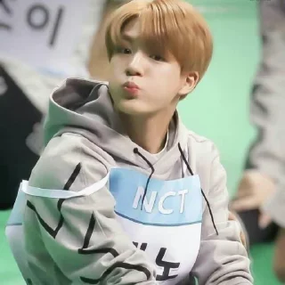 🧩 emoji leeーjeno ／ @stickernct。 Telegram sticker 9 of 30