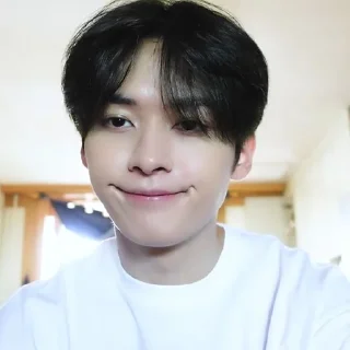 🐰 emoji 𝐋ee know @skz_help Telegram sticker 6 of 15