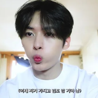 🐰 emoji 𝐋ee know @skz_help Telegram sticker 10 of 15