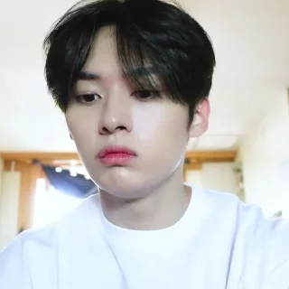 🐰 emoji 𝐋ee know @skz_help Telegram sticker 8 of 15