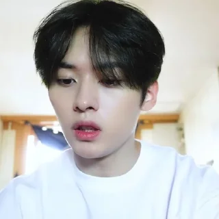 🐰 emoji 𝐋ee know @skz_help Telegram sticker 5 of 15