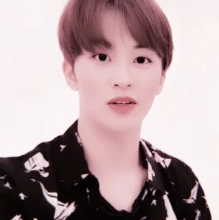 Sticker from +:‧₊ mark lee @stickernct