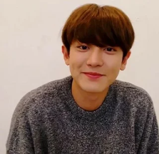 💿 emoji Chanyeol Park @editorsagaz Telegram sticker 3 of 30