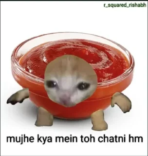 🍅 emoji Mujhe Kya Main Toh @Aesthet3c Telegram sticker 19 of 21