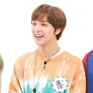 🤡 emoji leeーhechan ／ @stickernct Telegram sticker 5 of 30