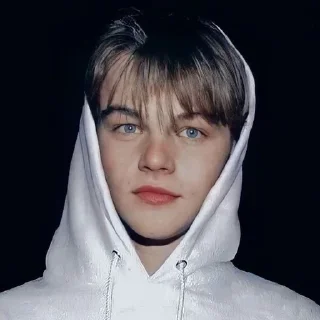 🙂 emoji Leo Dicaprio 90s @AnimeOcean_GiFs Telegram sticker 17 of 50