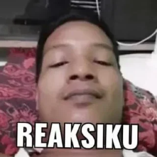 🙃 emoji Haikal Telegram sticker 19 of 30
