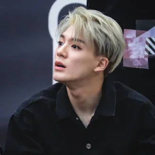 🦅 emoji lee jeno @jeonhz Telegram sticker 7 of 55