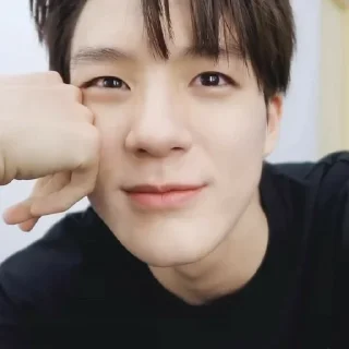 🦅 emoji lee jeno @jeonhz Telegram sticker 9 of 96
