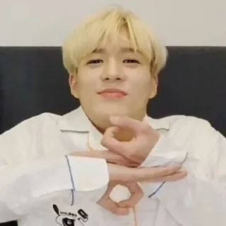 🦅 emoji lee jeno @jeonhz Telegram sticker 1 of 96