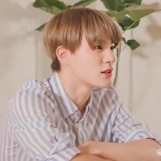 🦅 emoji lee jeno @jeonhz Telegram sticker 21 of 96