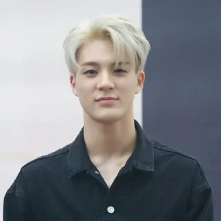 🦅 emoji lee jeno @jeonhz Telegram sticker 18 of 55
