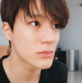 🦅 emoji lee jeno @jeonhz Telegram sticker 11 of 96