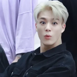 🦅 emoji lee jeno @jeonhz Telegram sticker 20 of 55