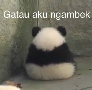 🐥 emoji @iYourobsession punya kala :p Telegram sticker 5 of 29
