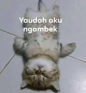 🐥 emoji @iYourobsession punya kala :p Telegram sticker 7 of 29