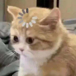 🐥 emoji @iYourobsession punya kala :p Telegram sticker 8 of 29