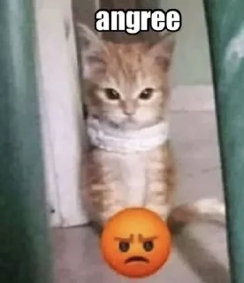 😡 emoji meong @crhae Telegram sticker 8 of 120