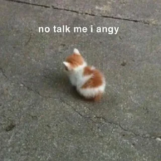 🐱 emoji meong Telegram sticker 7 of 35