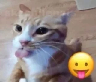 😛 emoji meong @crhae Telegram sticker 7 of 120