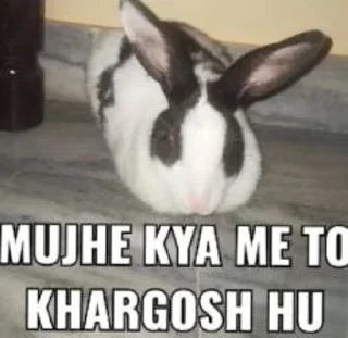 😋 emoji Muje Kya @StickerHive Telegram sticker 8 of 36