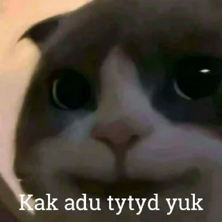😺 emoji Kucing kesayangan kita <3 @lpmtetet Telegram sticker 23 of 50