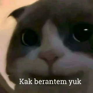 Sticker from Kucing kesayangan kita <3 @lpmtetet
