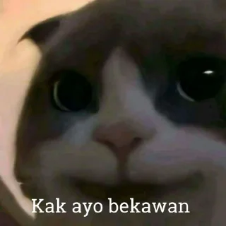 😺 emoji Kucing kesayangan kita <3 @lpmtetet Telegram sticker 17 of 50
