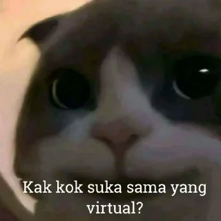 😺 emoji Kucing kesayangan kita <3 @lpmtetet Telegram sticker 19 of 50