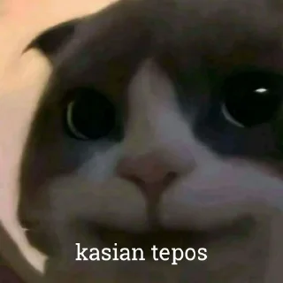 😺 emoji Kucing kesayangan kita <3 @lpmtetet Telegram sticker 7 of 50