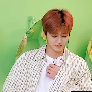 🕸 emoji Jaemin - 02 [ @KOMPLEKGIF ] Telegram sticker 12 of 19