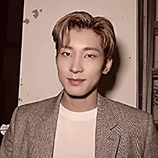 🎻 emoji Wonwoo Bittersweet M/V BEHIND THE SCENES @stikersvt Telegram sticker 16 of 66